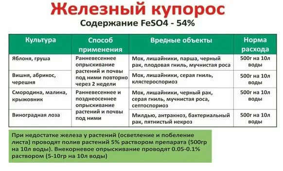 3 раствор железного. Железный купорос для деревьев весной. раствор железного купороса для опрыскивания винограда. железный купорос для обработки древесины. железный купорос для обработки деревьев.