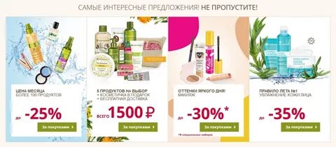 Каталог магазина ива
