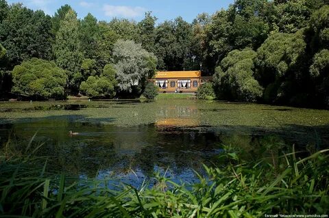 Водоем усадьба