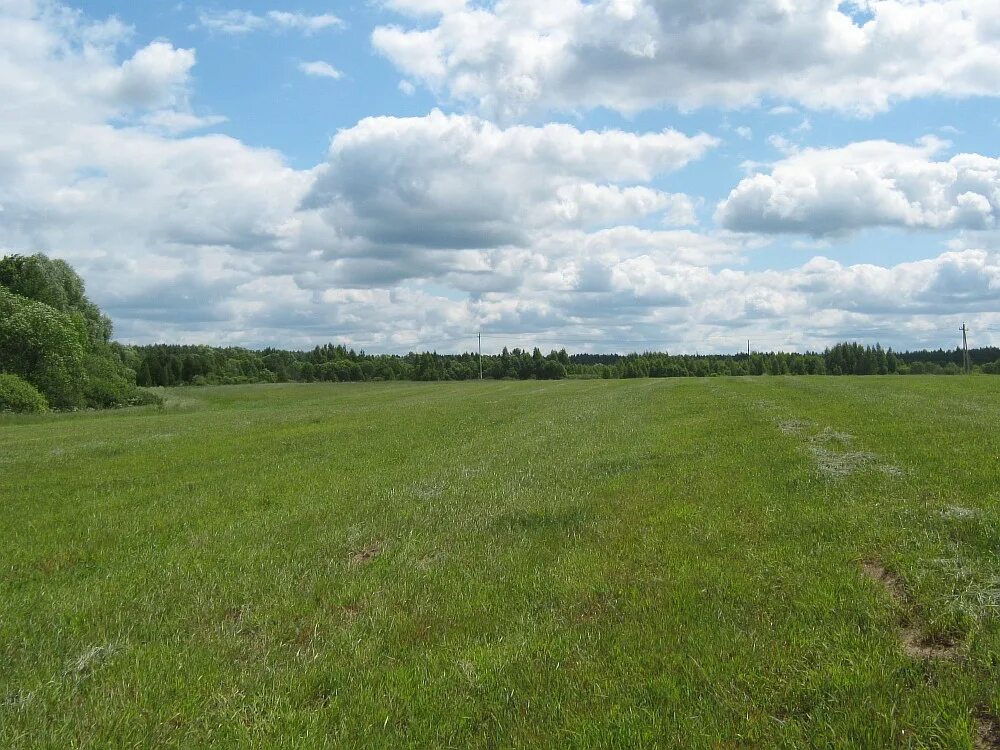 река едимоново. земельный конаково. земельный конаково. земельный конаково. деревня филимоново тверская область.
