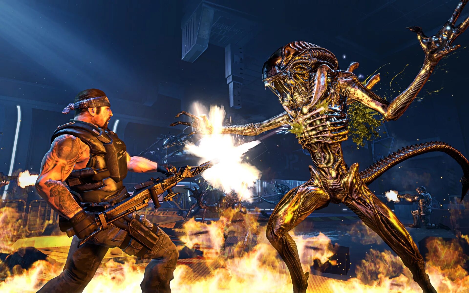 Игра Aliens Colonial Marines. Aliens: Colonial Marines (ps3). Aliens Colonial Marines чужие. Aliens Colonial Marines морпехи. Морпех чужой