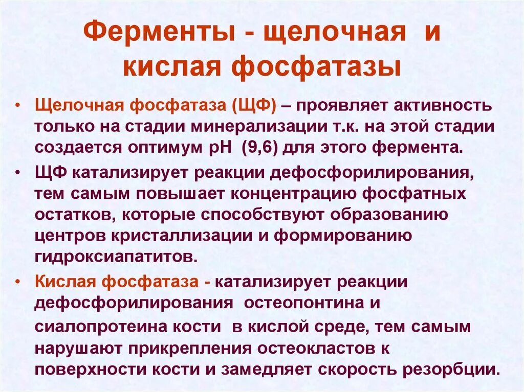 О чем говорит повышенная фосфатаза