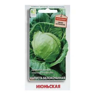 Капуста июньская