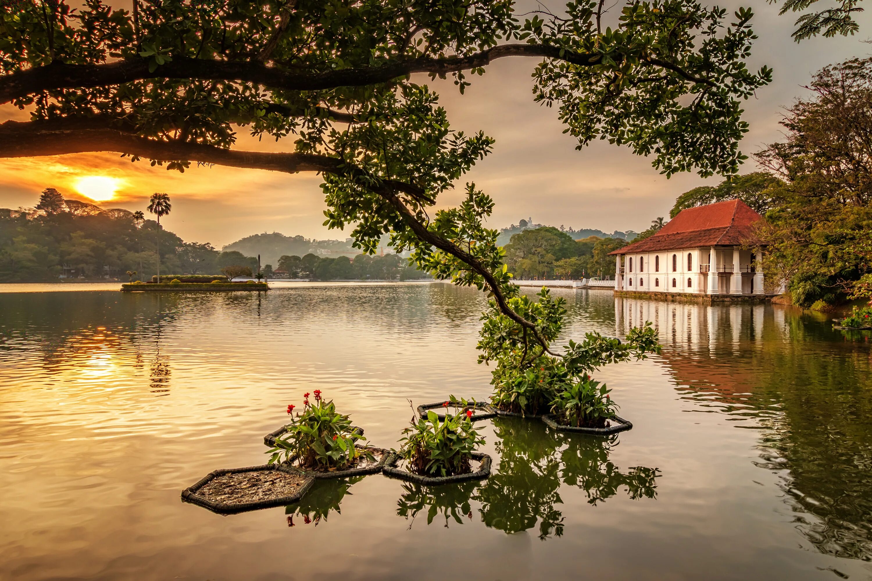 Канди Шри Ланка. Озеро Канди Шри Ланка. Kandy Lake Канди. Канди Шри Ланка фото.