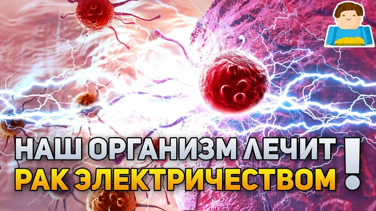 Рак нетрадиционные методы