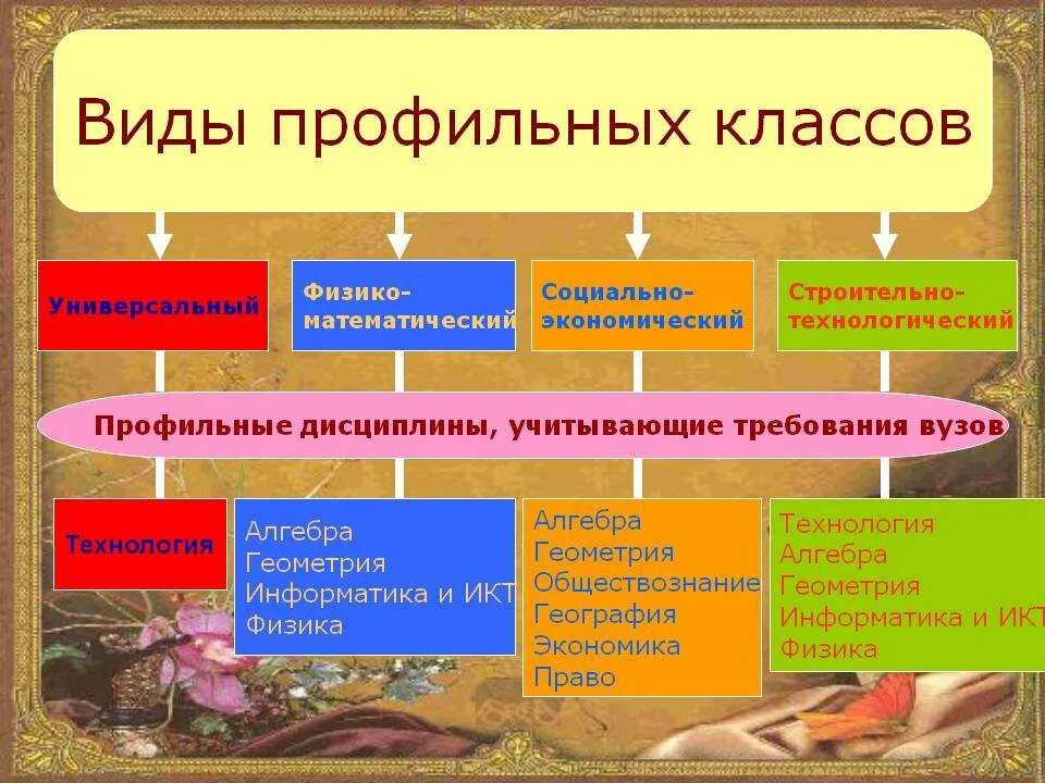 10 Класс профильные классы. Направления в 10 классе. Профильные направления в 10 классе. Профильные классы в школе направления.