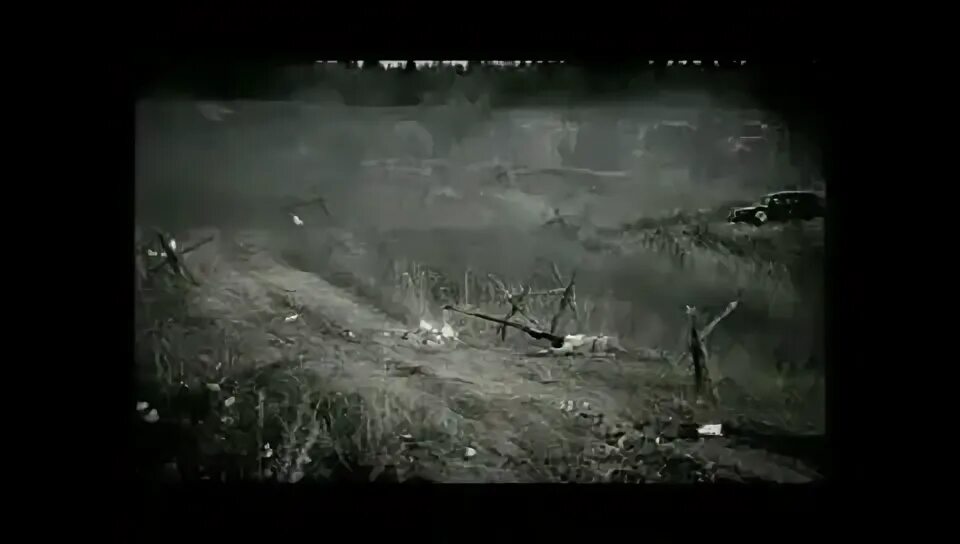 чёрный ворон песня яхонт. чёрный ворон фильм про войну. запрет ворон. яхонт чёрный ворон клип. черный ворон запрещенная.