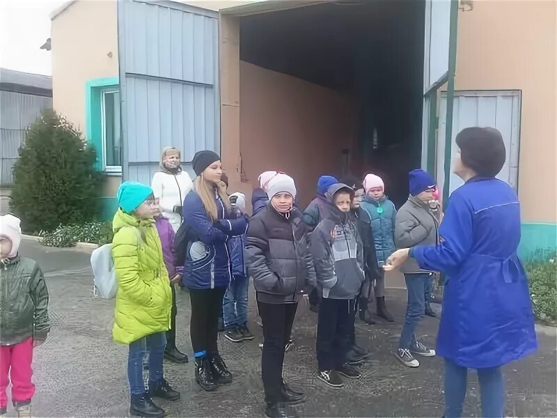 Домановский производственно торговый комбинат. Домановский производственно торговый комбинат. Домановский птк. Домановский производственно торговый комбинат. Домановский лесхоз.