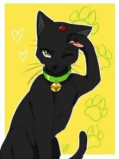 Леди баг и супер черный кот