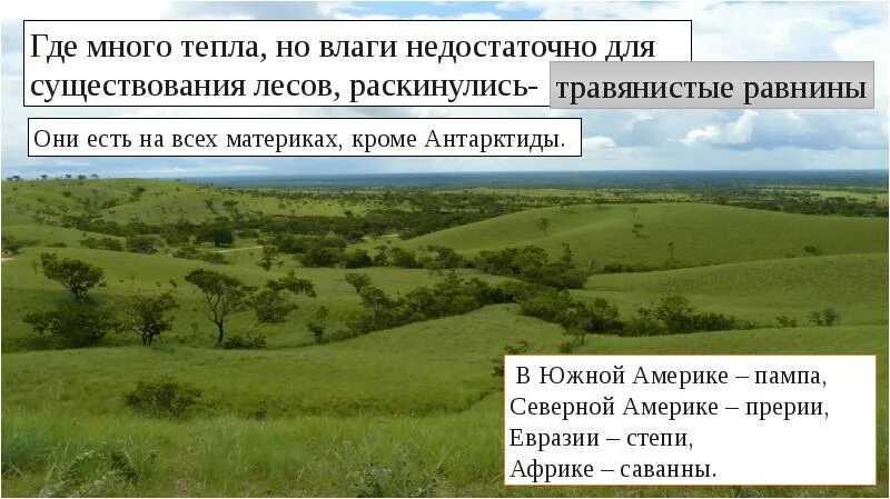 В какой природной зоне недостаток влаги. Презентация на тему природные зоны. Природные зоны земли презентация. Природные зоны равнины. Обитатели травянистых равнин.