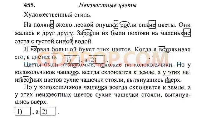 Густые разбор. На Поляне Лесной опушки росли синие цветы. Текст на Поляне около Лесной опушки росли синие цветы. Разборы в 5 классе по русскому языку ладыженская. Паустовский на Поляне около Лесной опушки росли синие цветы.