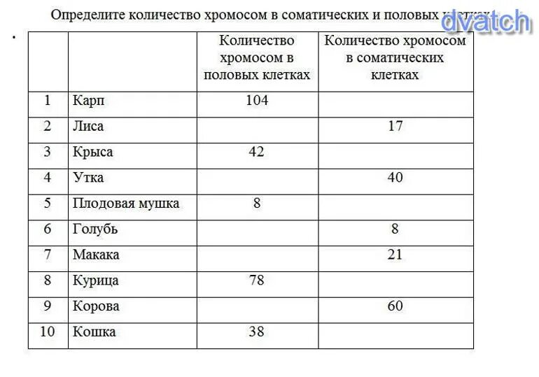 Число хромосом в соматических и половых клетках. Количество хромосом в соматических клетках. Число хромосом в половой клетке. Как определить число хромосом.