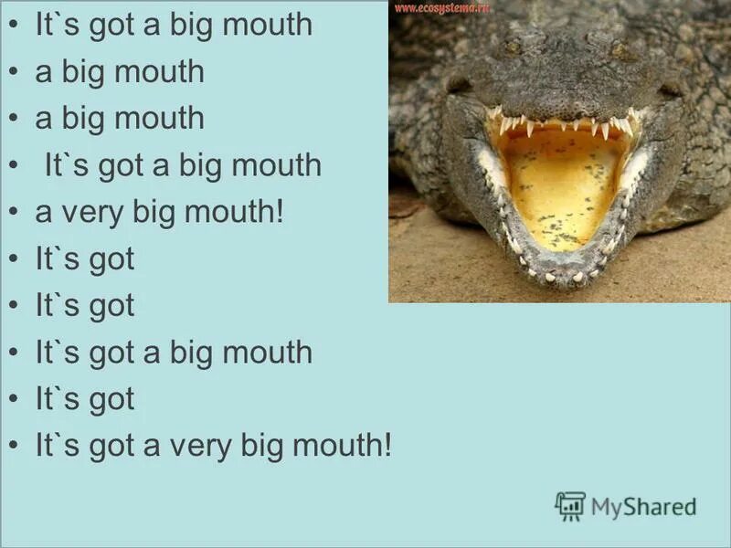 Got a big mouth. Got a big mouth. нарисуй монстра по описанию на английском языке. He has got a big nose. Got a big mouth.