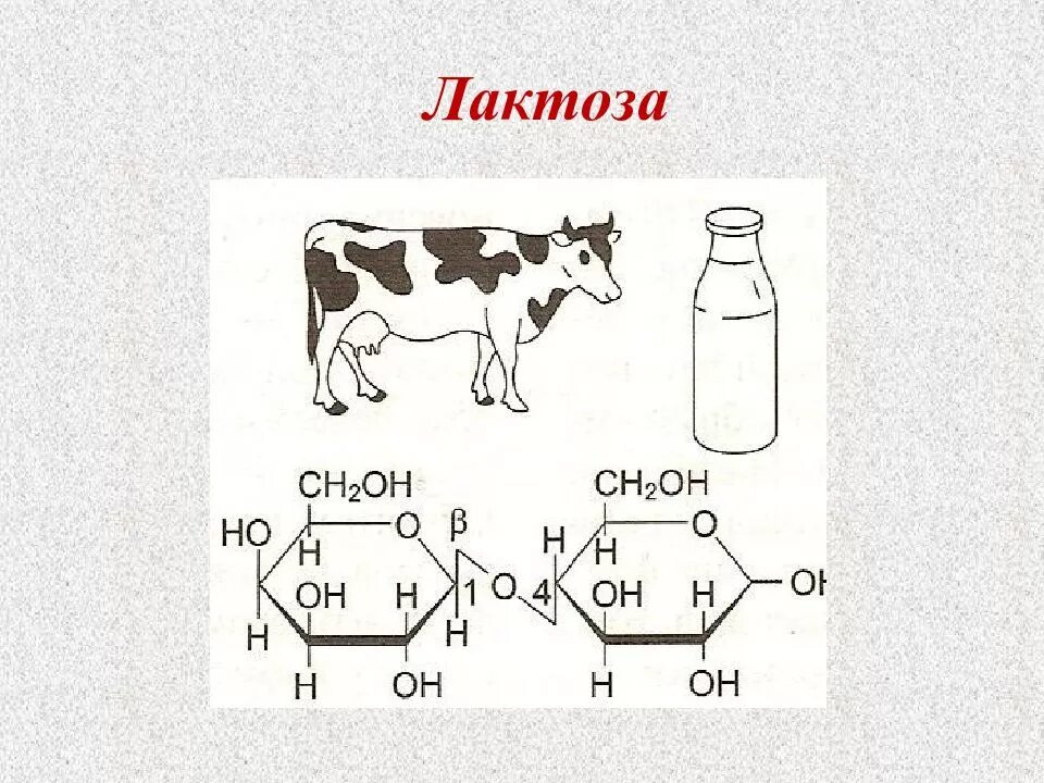 Количество лактозы в молочных продуктах. Лактоза развернутая формула. Лактоза строение. Лактоза молока. Лактоза в молочных продуктов.