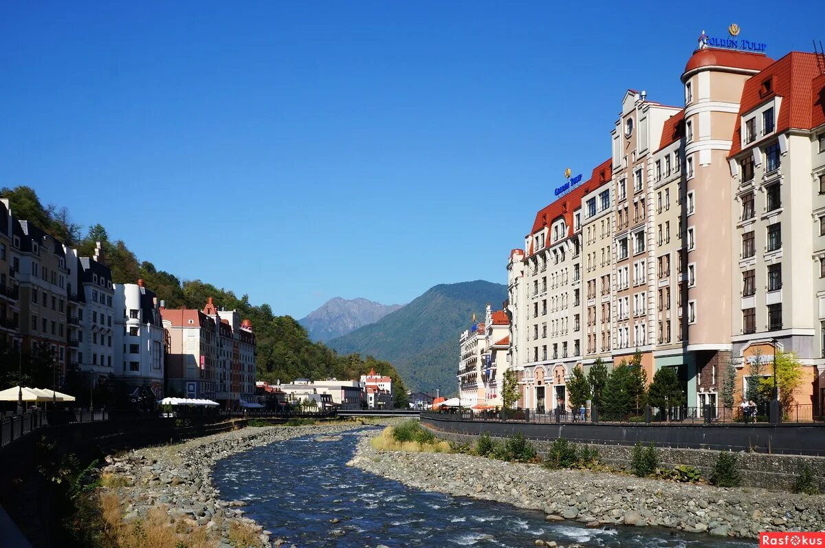 сочи отзывы туристов 2023. сочи парк отель бассейн. санаторий сочи фото территории. санаторий шексна вардане. сочи отзывы туристов 2023.