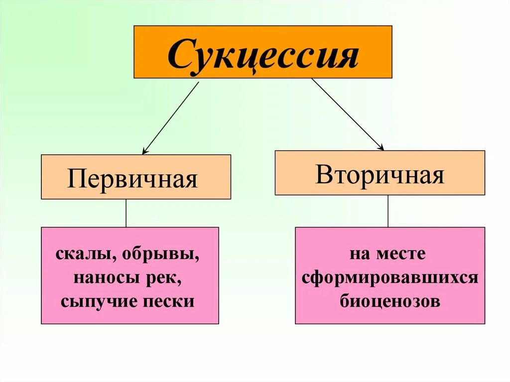 Пример первичной. Первичная экологическая сукцессия. вторичная экологическая сукцессия. первичная и вторичная сукцессия таблица. характеристика первичной и вторичной сукцессии.