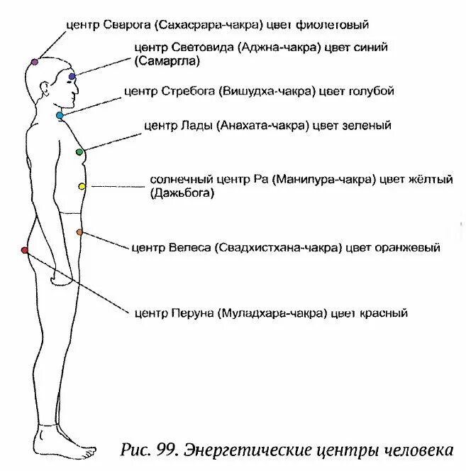 Девять центров