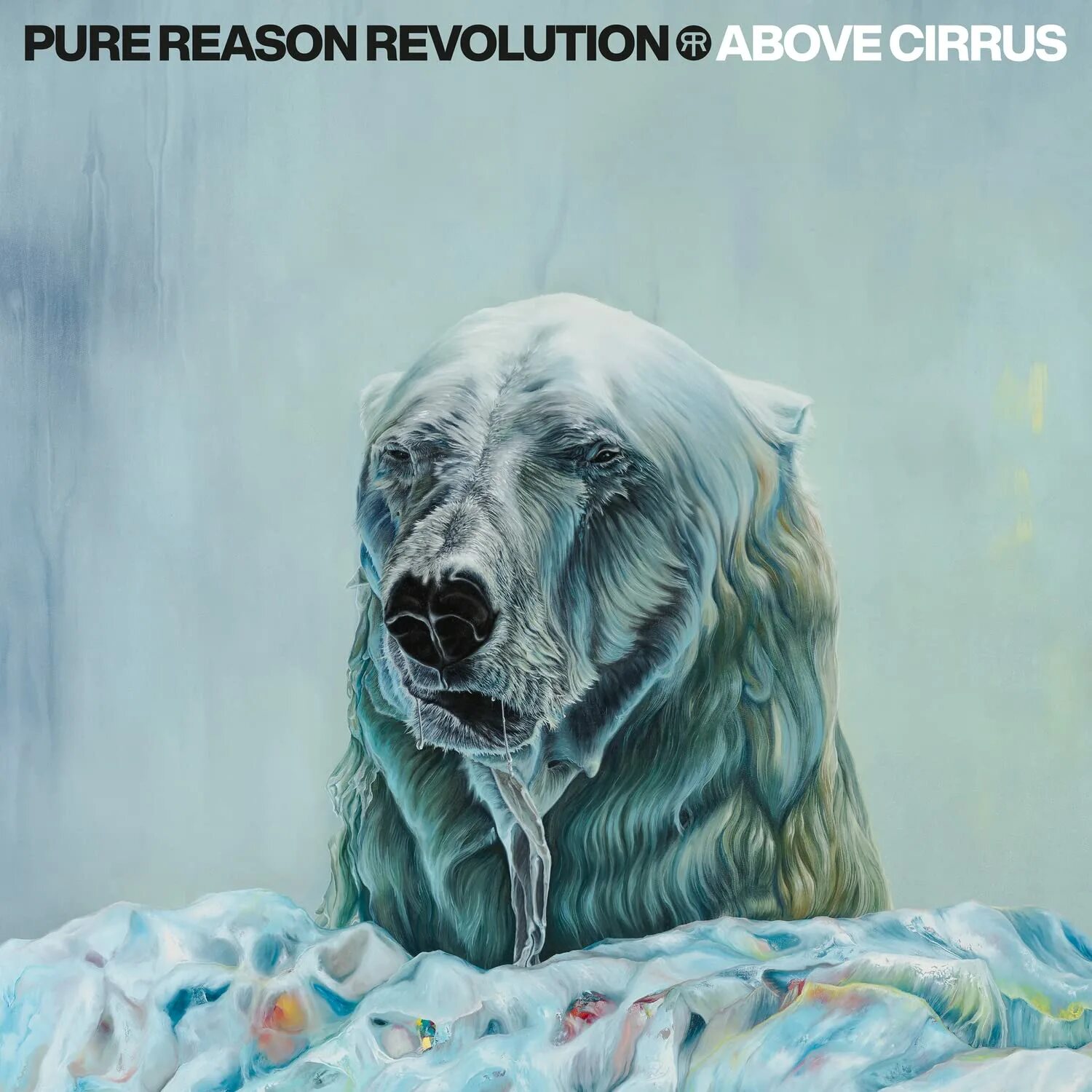Pure reason revolution coming up to consciousness. Pure reason. reason. рисон быстрый bltb.