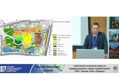 Новые парки 2023