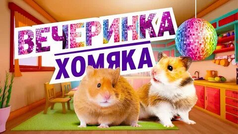 Хомяк друзья