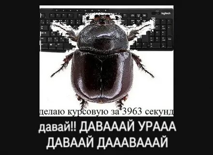 Картинка давай давай ура