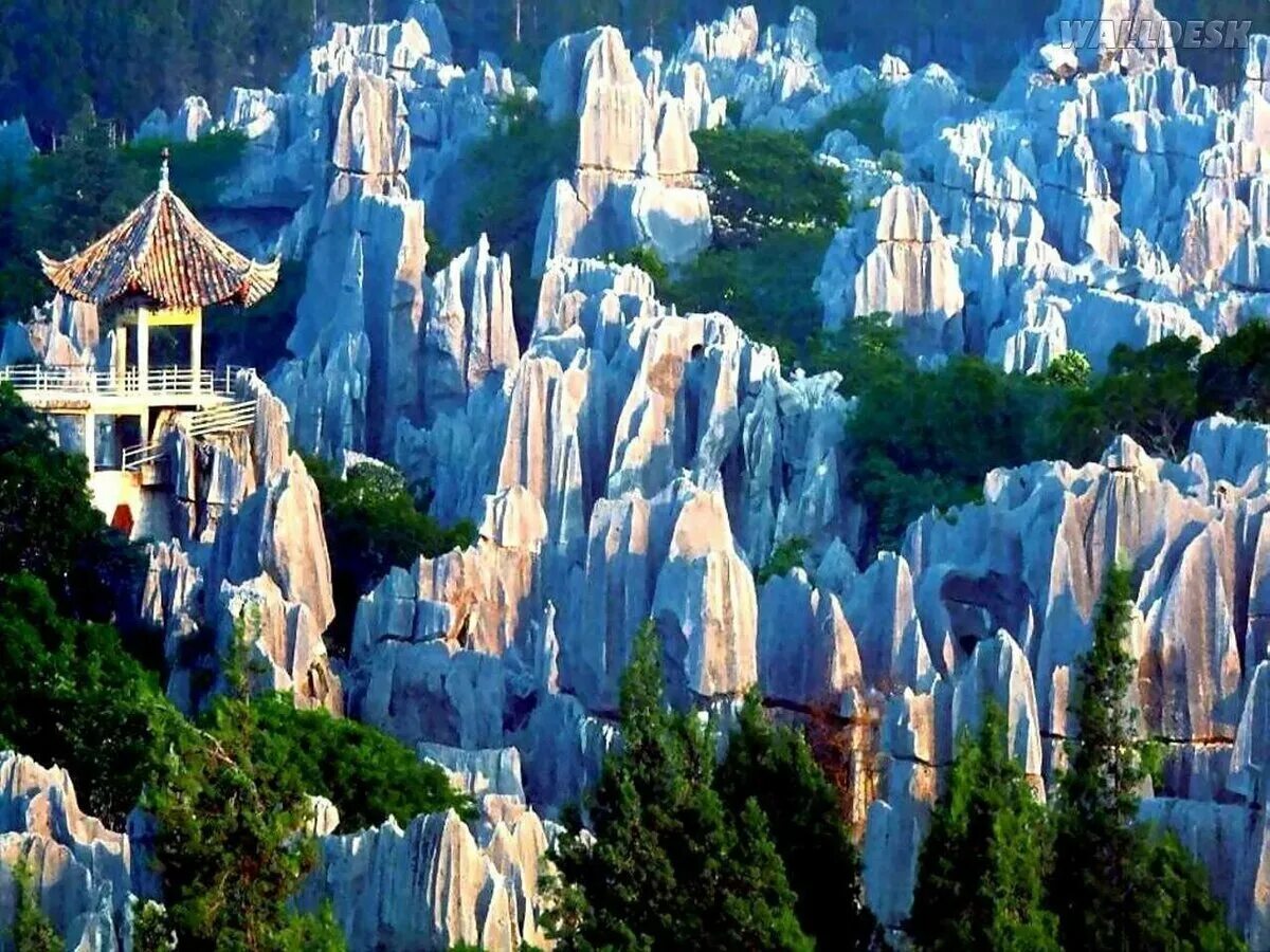 Каменный лес Шилинь. Национальный парк Шилинь (каменный лес). Национальный парк Шилинь (Юго-Запад Китая). Лес Шилинь в Китае. Список красивых мест