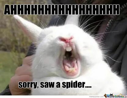 Sorry see