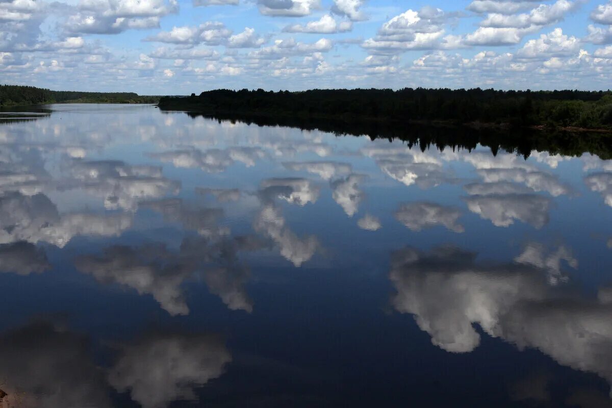 Истра водохранилище пляж. Истринское водохранилище пляжи. Лопотово пляж истр. Robinson cesna истринское водохранилище. Вода в истринском водохранилище.