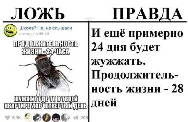 По статистике 30% всей вашей ленты ВК - ложь. Но есть группа ВКонтакте, которая 