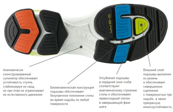 Подошва состоит из. Ecco biom подошва. jordan 36 подошва. протектор подошвы. протектор подошвы обуви кроссовки.