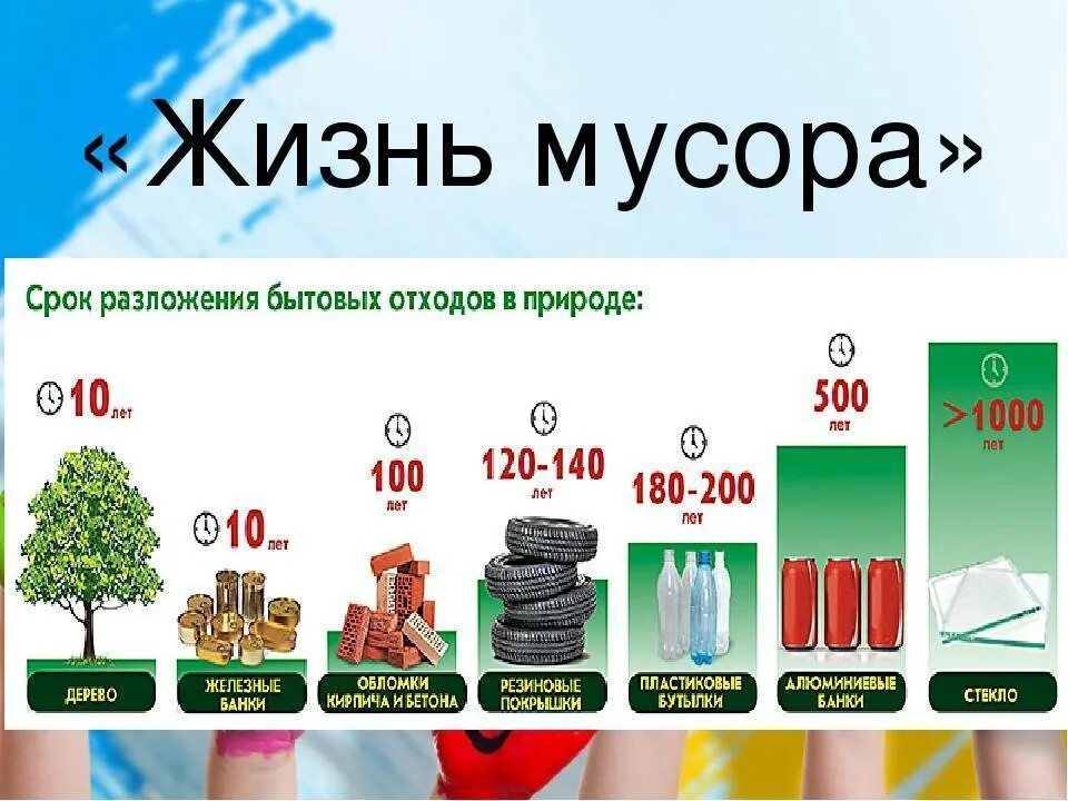 Срок мусорок. Сроки разложения отходов. сколько разлагается мусор. срок разложения пластика. каков срок разложения отходов.