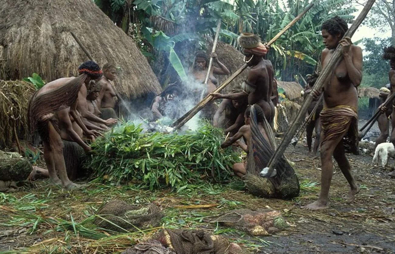 Каннибалов племена каннибалов. Амазонские дикари каннибалы.