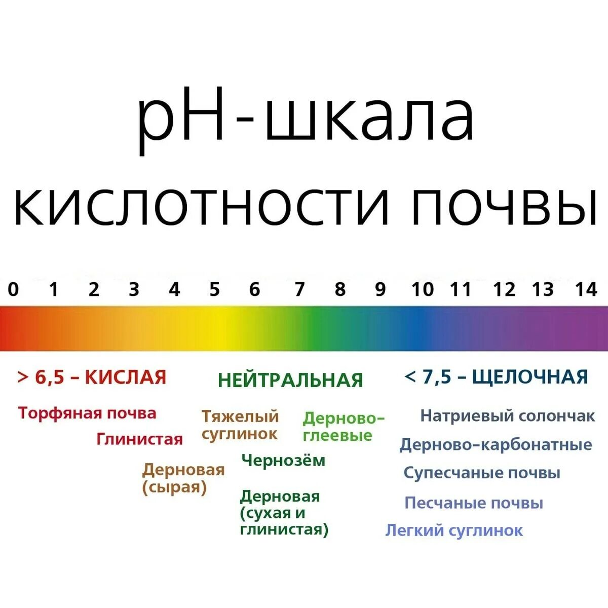 Кислотность 5. Шкала кислотности ph почвы. кислотность почвы показатель рн. кислотно щелочная шкала ph. как определить степень скелетности почвы.