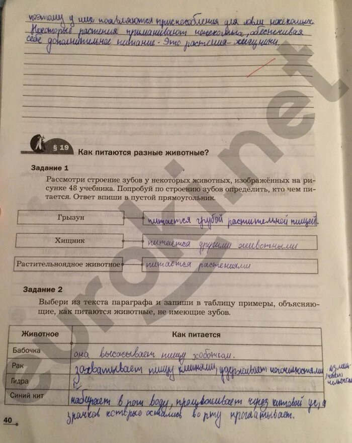 гдз биология 6 класс рабочая тетрадь 14 стр. биология 6 класс рабочая тетрадь страница 14. биология 6 класс рабочая тетрадь страница 14. биология 6 класс рабочая тетрадь стр 14. рабочая тетрадь с белочкой.