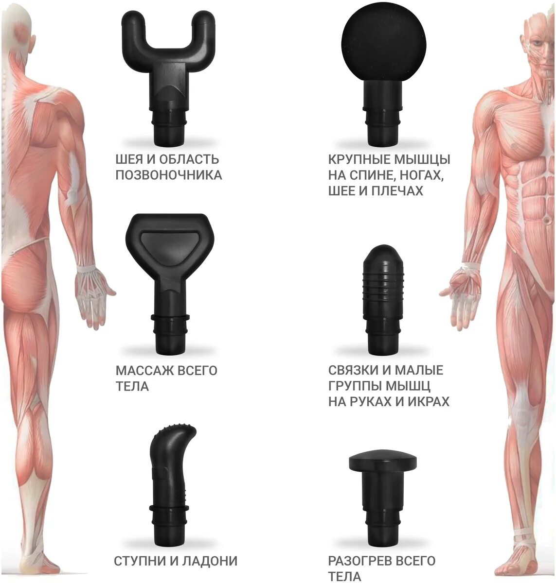 перкуссионный массажёр пользований. перкуссионный массажер гезатон. перкуссионный массажер деко. насадки для перкуссионного массажа. массаж лица перкуссионным массажером.