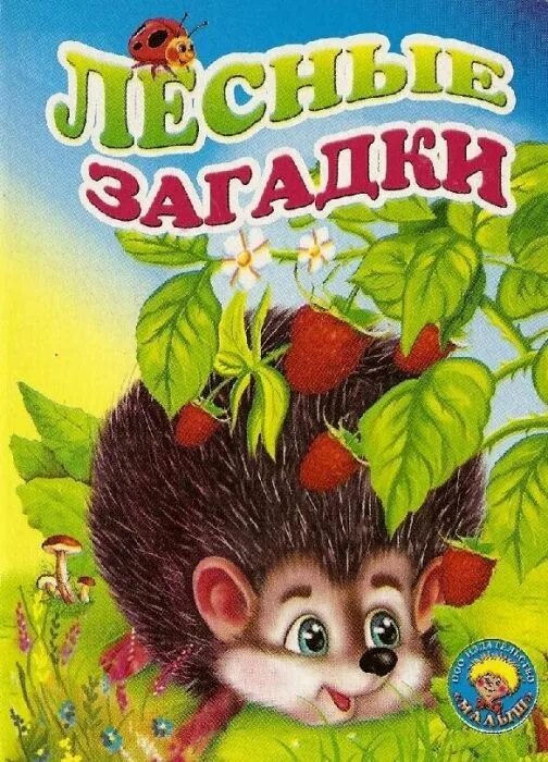 Картинки про загадки. Лесные загадки. Загадка про книжку для детей. Загадка про книгу для детей. Лесные загадки для детей.
