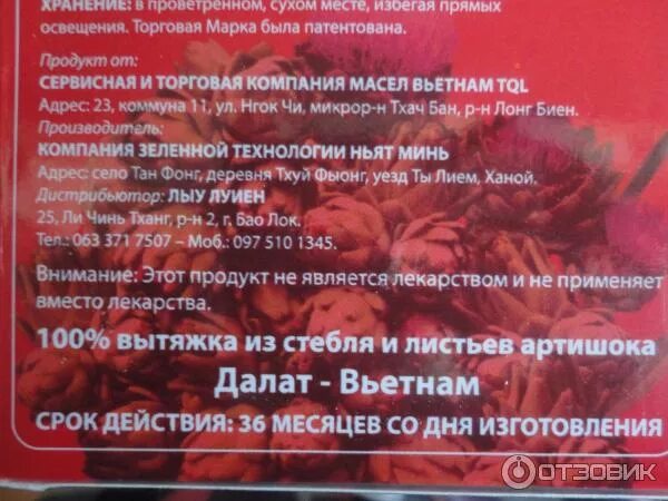 Вытяжка артишока вьетнам. Артишок вытяжка инструкция. Вытяжка артишока. Экстракт артишока вьетнамский. Артишок вытяжка инструкция.
