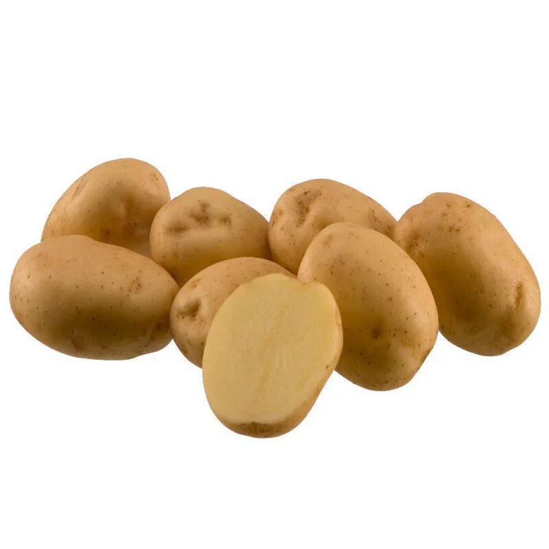 Ривьера сорт картофеля. Семенной картофель Ривьера. Семена картофеля Ривьера. Картошка сорт Ривьера.