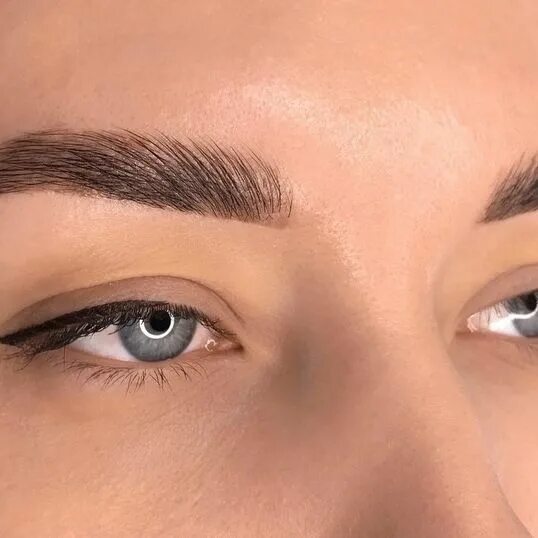 лучшие брови спб