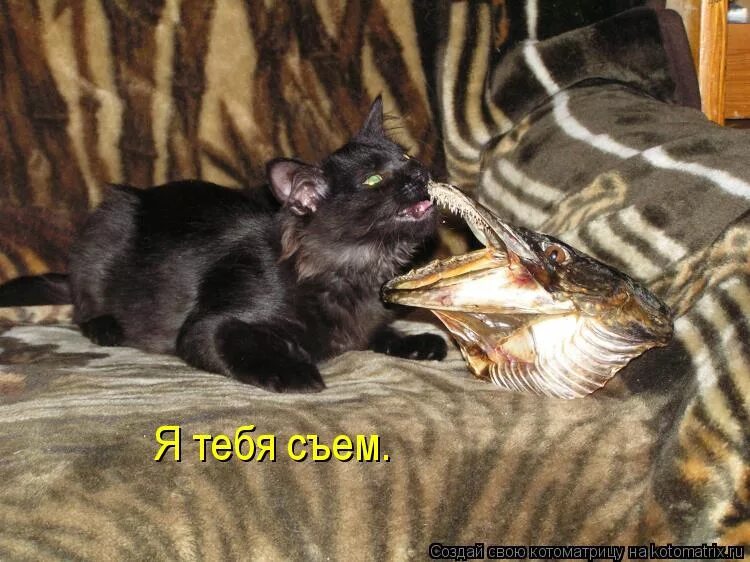 Как будет я тебя съем. Я тебя съем. съем тебя фото. съем тебя съем. я тебя съем картинки.