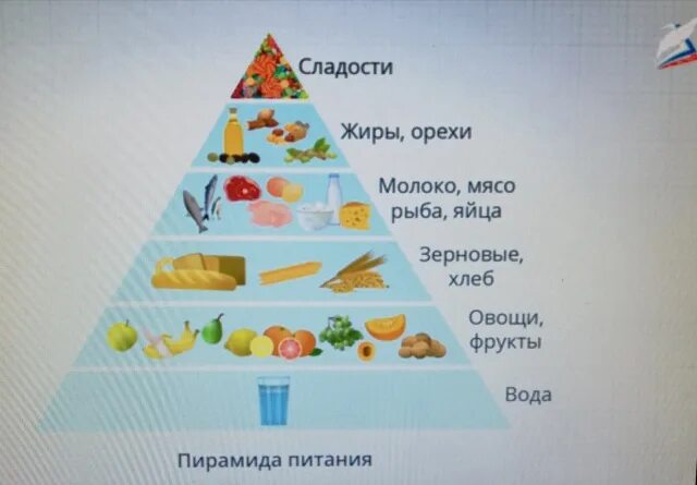 Основу базис пирамиды питания составляют. Основы рационального питания. пирамида питания 5 класс. кулинария основы рационального питания. основы здорового питания 5 класс технология.
