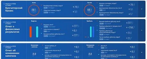 Гирбо отчетность