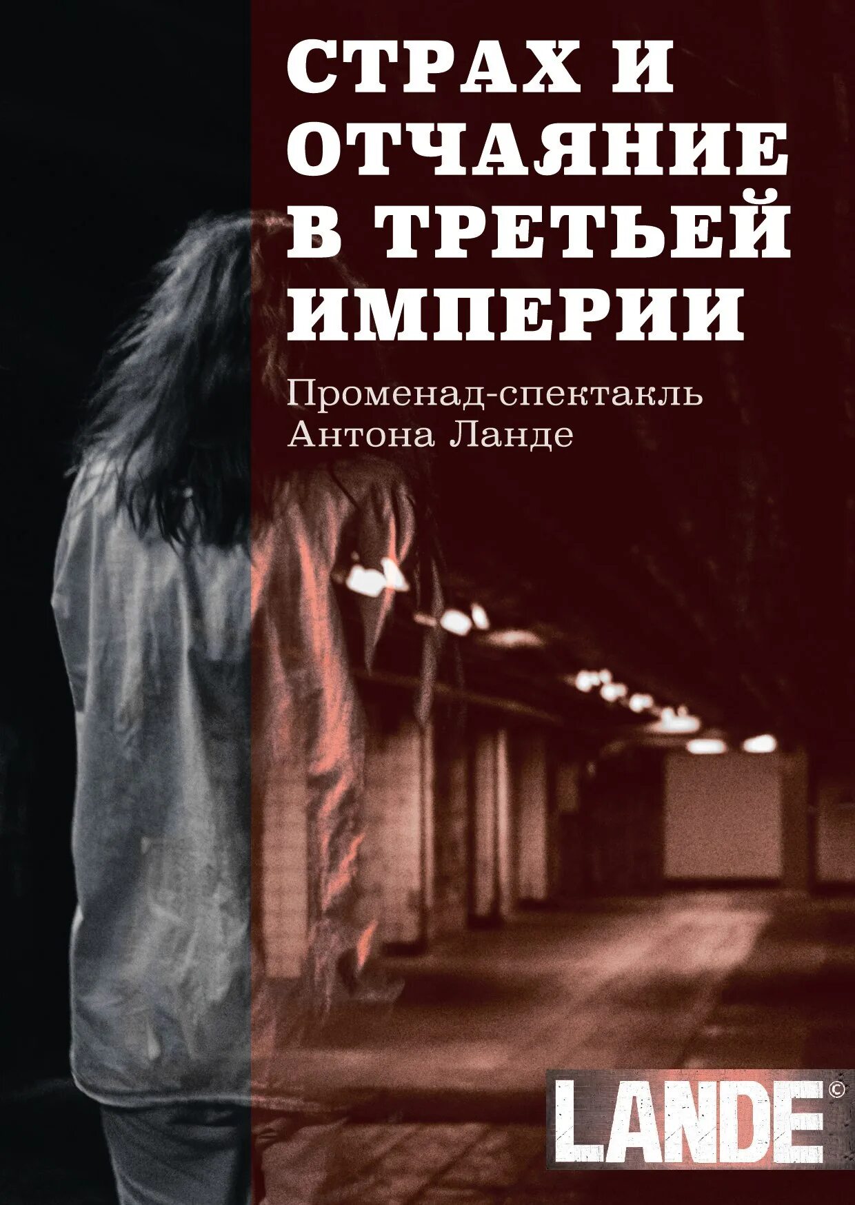 Читать книгу отчаяние. Страх и отчаяние в третьей империи. брехт страх и отчаяние в третьей империи. страх и нищета в третьей империи. империя страха книга.