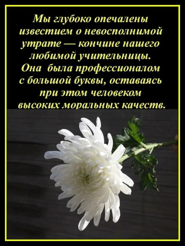 Слова скорби. Слова соболезнования. Слова соболезнования о смерти. Соболезнование коллеге. Слова прощания на похоронах