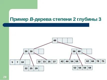 Дерево глубины 1