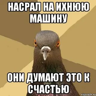 Насрали 18