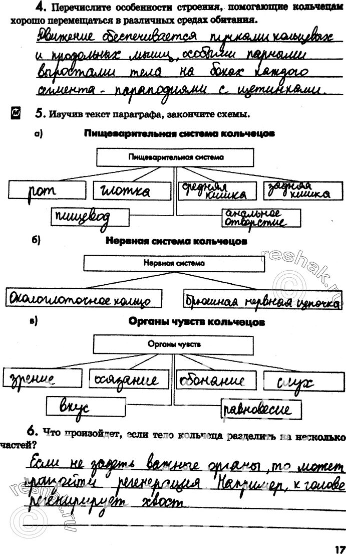 А. Передвижение моллюсков таблица. Органы чувств регуляция деятельности организма 7 класс. Гдз по биологии 7 класс таблица. Схема параграфа.