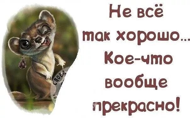 Веселее лучше проще. Открытки дела отлично. Дела отлично картинки прикольные. Просто все хорошо. У меня всё хорошо.