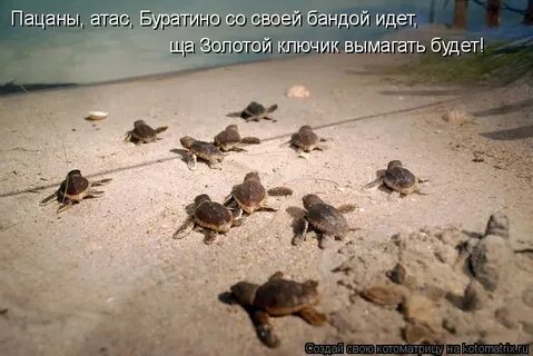 Атас это что такое