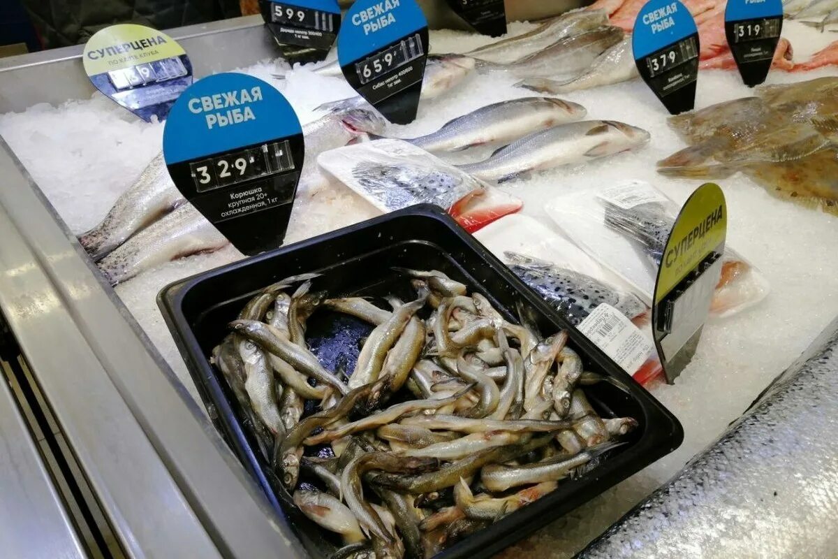 корюшка невская и ладожская. корюшка санкт петербург где. корюшка на прилавке. сезон корюшки. корюшка санкт петербург где.